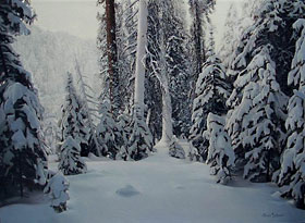Šuma pod snegom